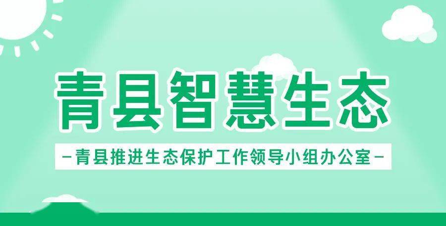 绿色灵宝焕新篇章，环保整治捷报频传