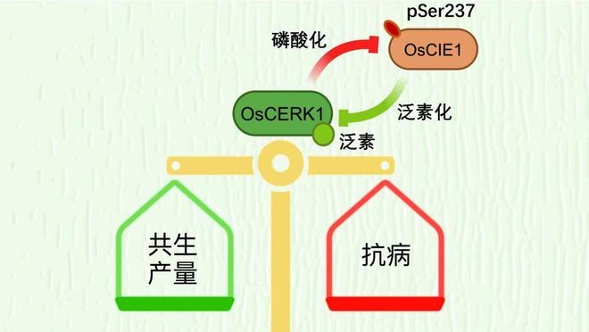 前沿生物科技突破：揭秘最新研究成果概览