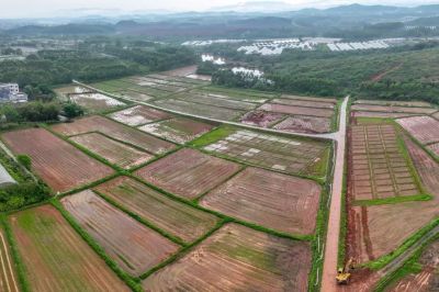 粤地春潮涌动——解码广东农村土地政策新篇章